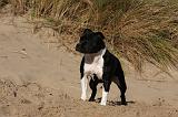 STAFFIE 284